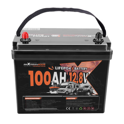 12V 100Ah LiFePO4 Deep Cycle RV Battery with Low Temp Protection BMS