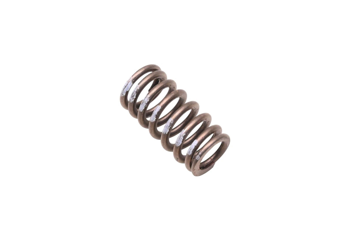 OEM Engine Valve Spring for Ford (XL3Z-6513-AA)
