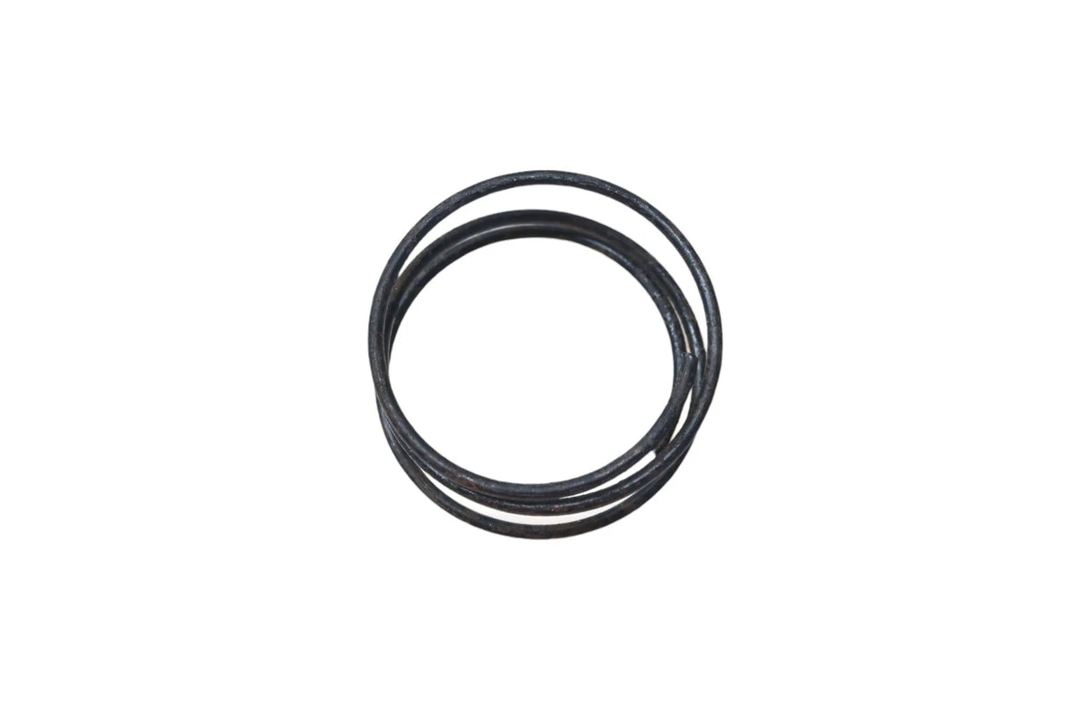 Horn Blower Spring for Ford (CODZ-13A807-A)