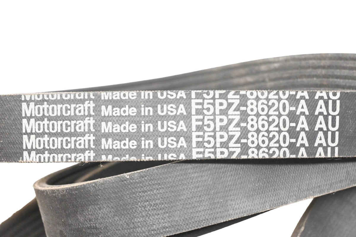 Serpentine Belt for Ford (F5PZ-8620-A) (OEM)