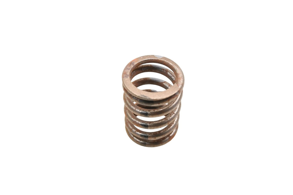 OEM Engine Valve Spring for Ford (C5TZ-6513-A)