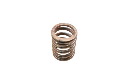 OEM Engine Valve Spring for Ford (C5TZ-6513-A)