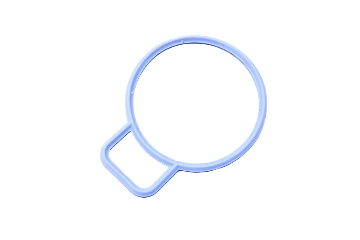 Fuel Injector Throttle Body Mounting Gasket for Ford (F68Z-9E936-A)