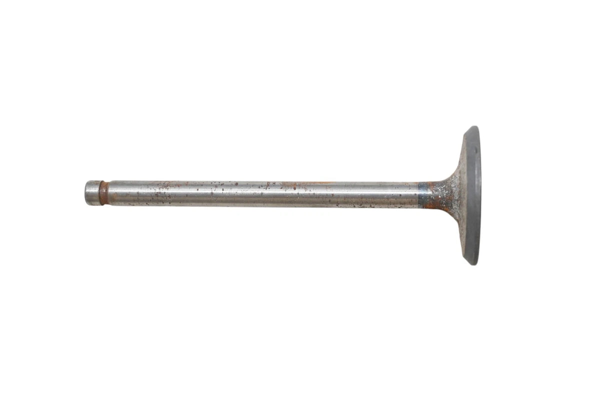 OEM Engine Intake Valve for Ford COAE-6507-J (NOS)