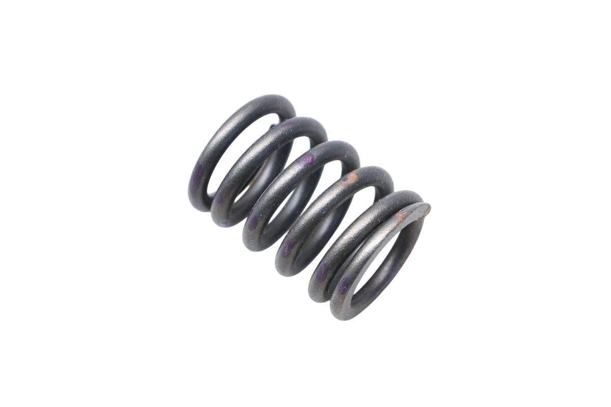 Exhaust Valve Spring for Ford D5OZ-6513-A (NOS)