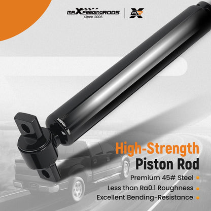 Rear Struts Shock Absorber Assembly for Ford Fusion (2013–2020)
