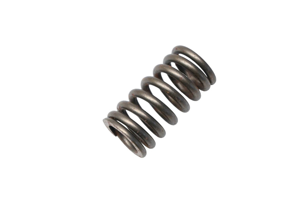 Valve Spring for Ford (YF1Z-6513-DA)