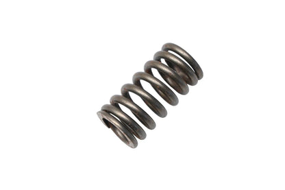 Valve Spring for Ford (YF1Z-6513-DA)