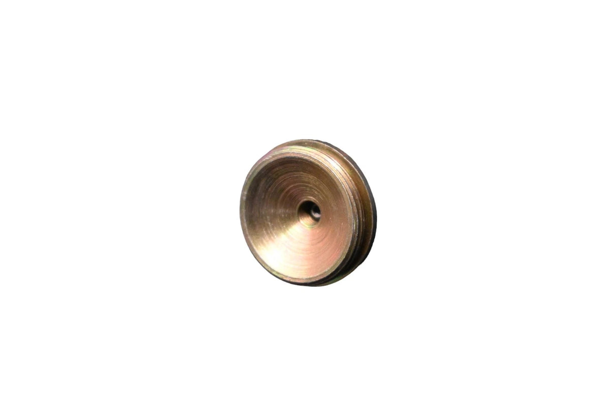 Spindle Plug Assembly for Ford (C7TZ-3B167-B)