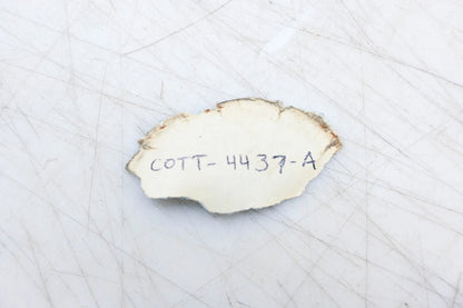 Bushing for Ford COTT-4437-A (OEM)