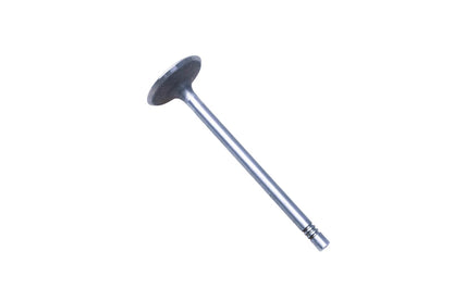 OEM Engine Cylinder Intake Valve for Ford (E5FZ-6507-A)