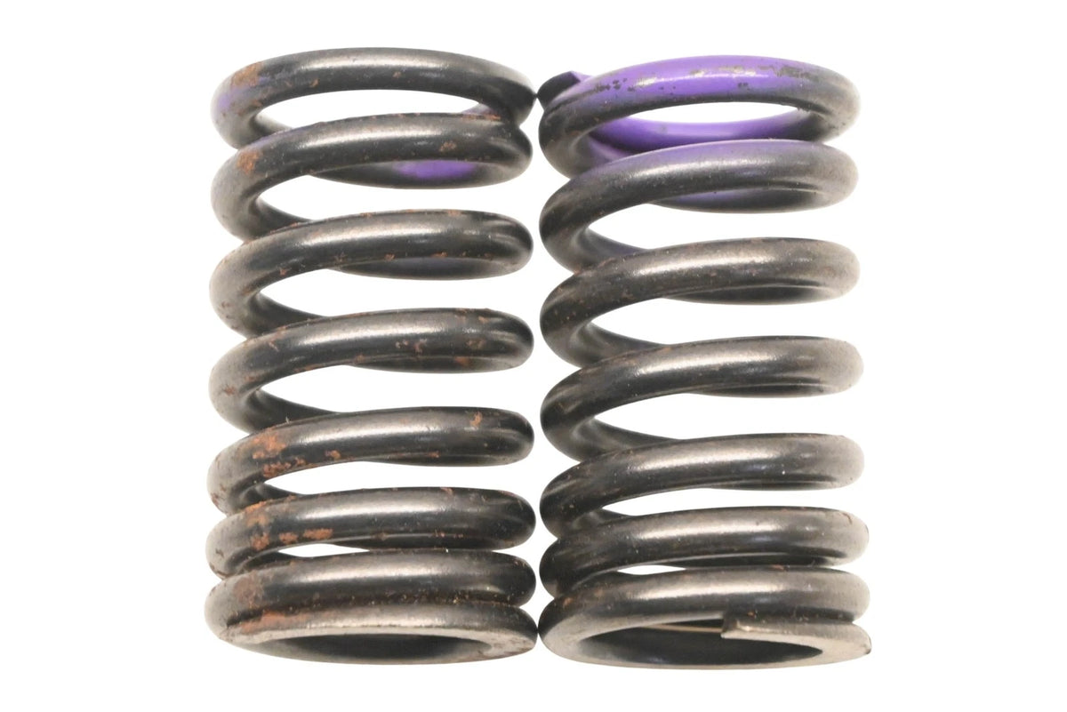 2X Engine Valve Springs for Ford (F0CZ-6513-A)
