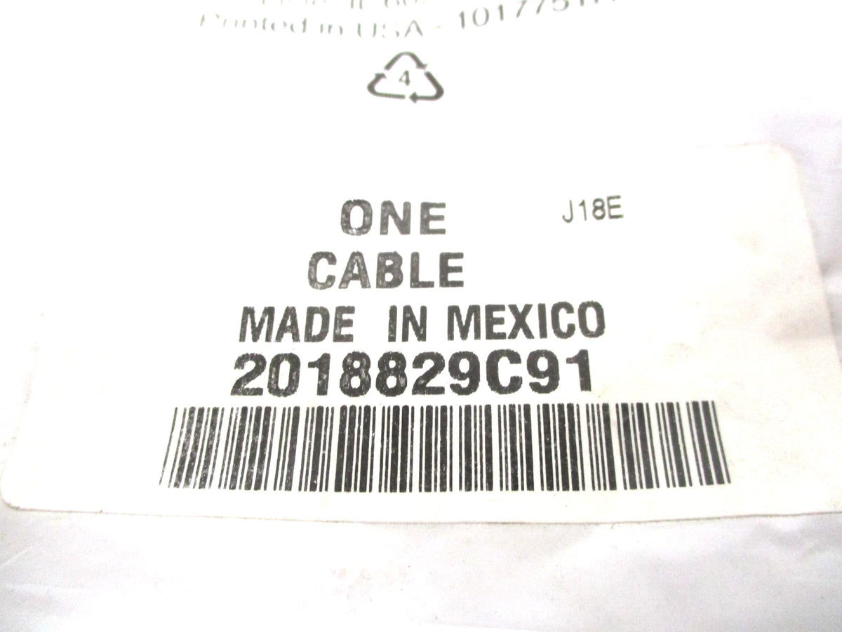 Light to Light Cable Assy for International (2018–2018) 2018829C91