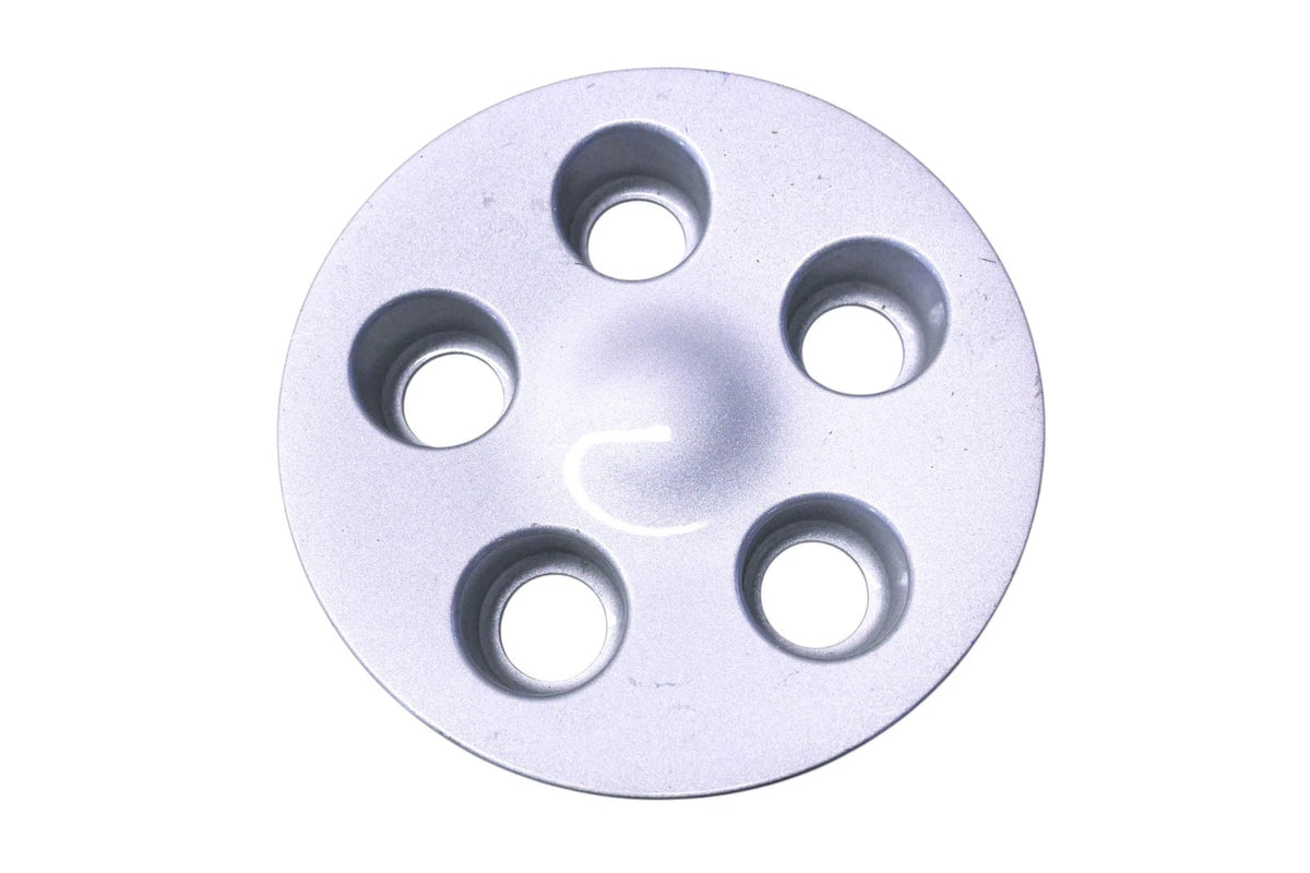 OEM Silver Center Hub Cap for Ford (F6DC-1A096-GA, F6DC-1A096-CA)