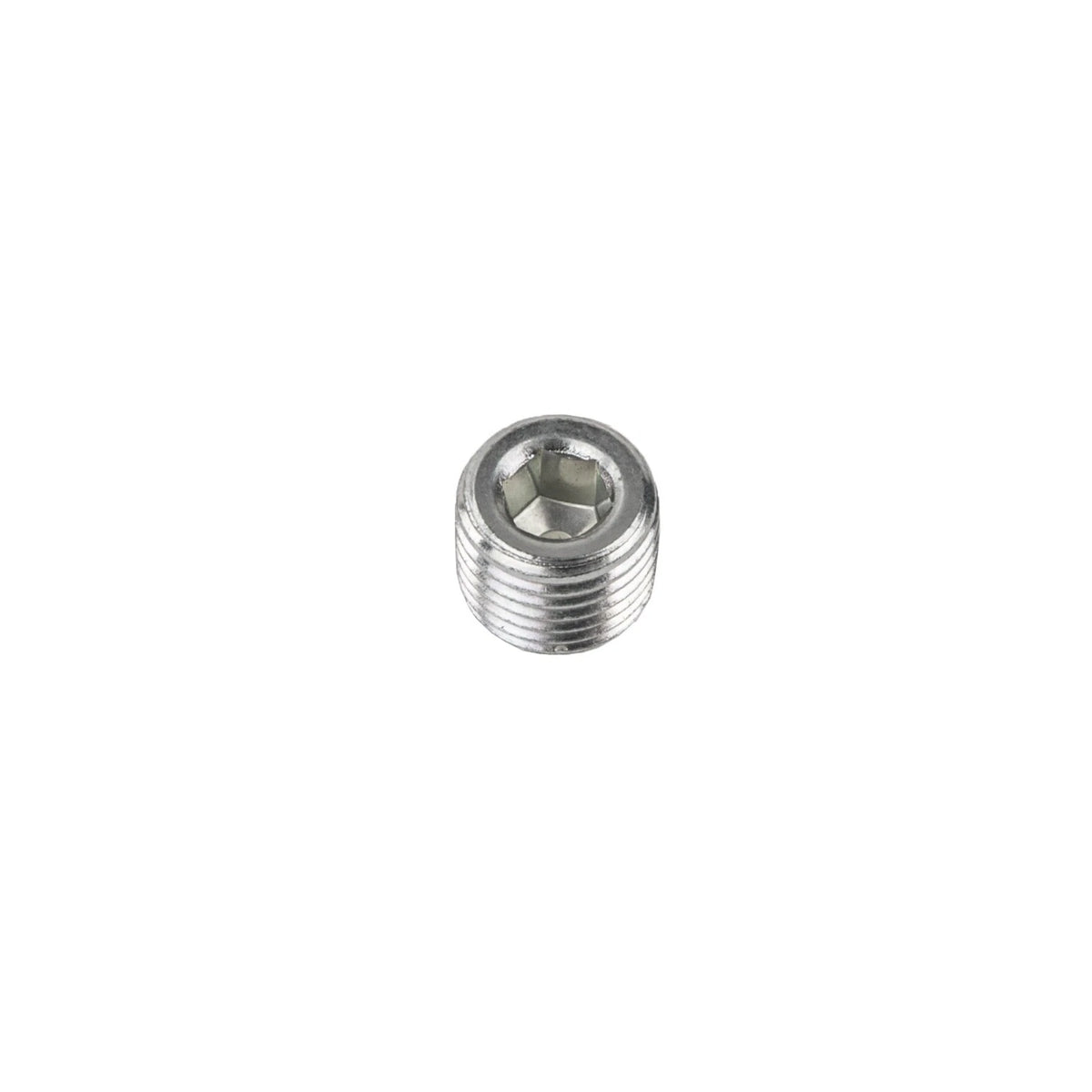 1/4 NPT Plug for Various Applications (2010–2023)