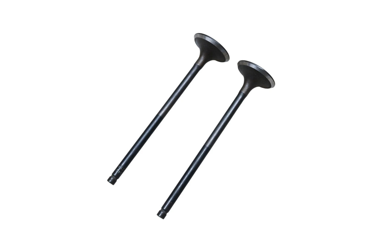 2X SBI 10542 Valves for