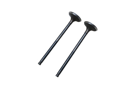 2X SBI 10542 Valves for