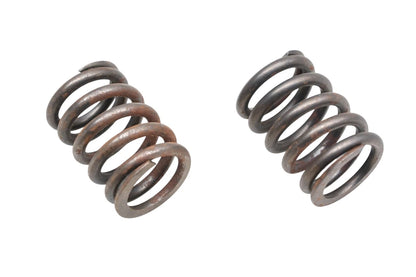 2X Valve Springs for Ford (E7DZ-6513-A)