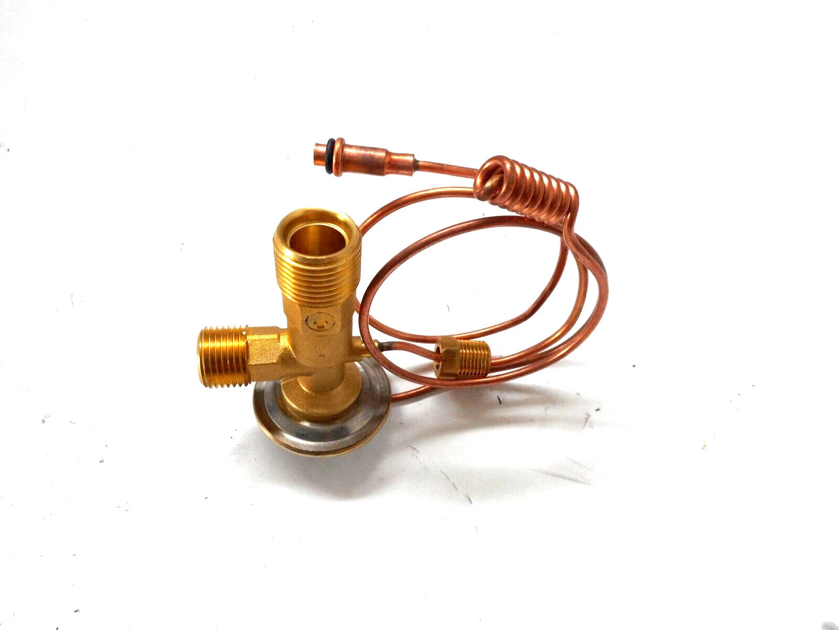 AC Expansion Valve for International (38864, 1691469C2)