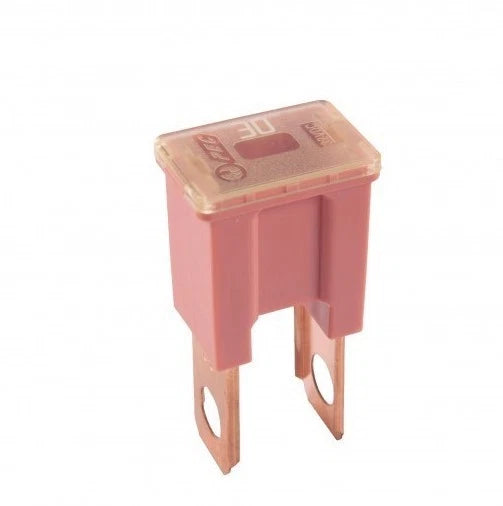 2X Type B Male PAL 30 Amp Fuse for Flosser 604830 (Made in Japan)