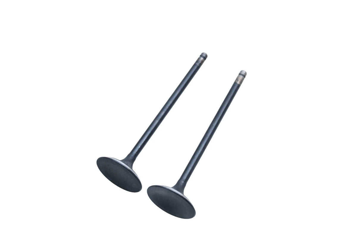 2X SBI 10541 Valves for