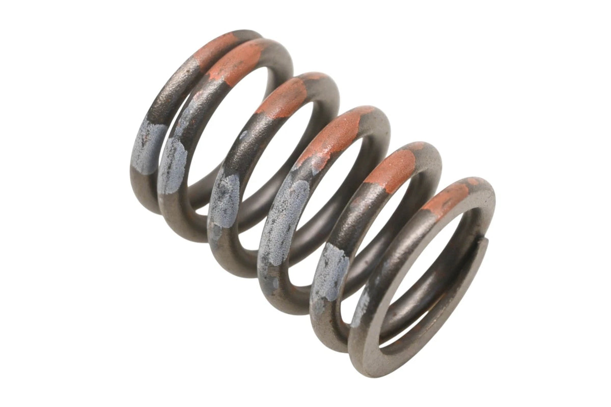 OEM Engine Valve Spring for Ford (C5TZ-6513-A)