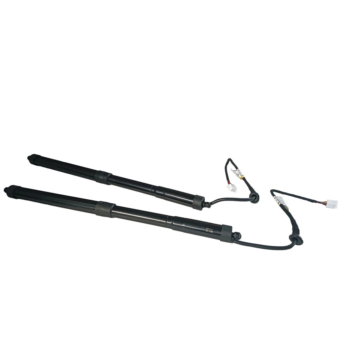2X Liftgate Hatch Lift Support Strut for Toyota RAV4 (2019–2023)