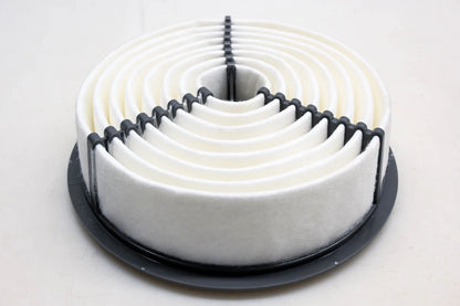 Hastings AF894 Air Filter for Various Makes and Models (NOS)
