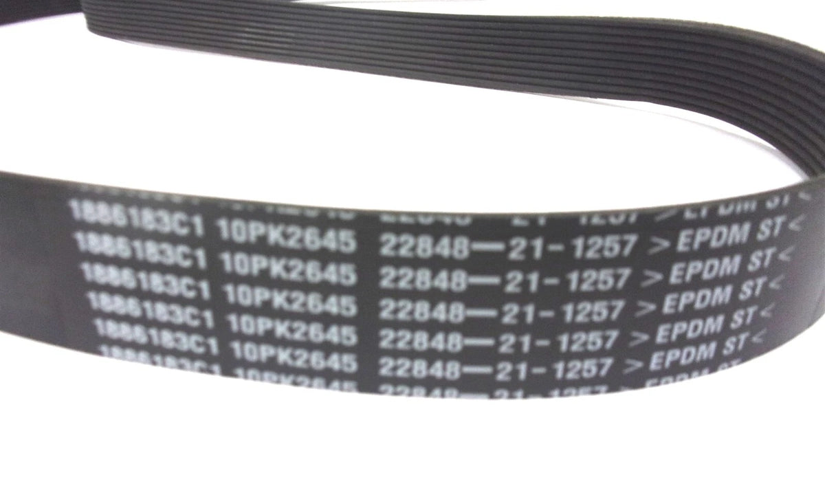 Serpentine V-Belt 10PK2645 for International (1886183C1)