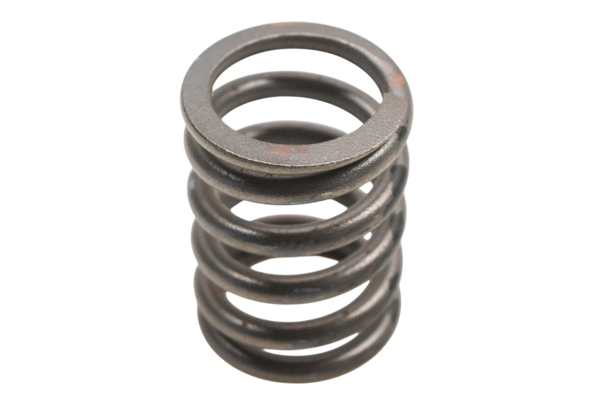 OEM Engine Valve Spring for Ford (C5TZ-6513-A)