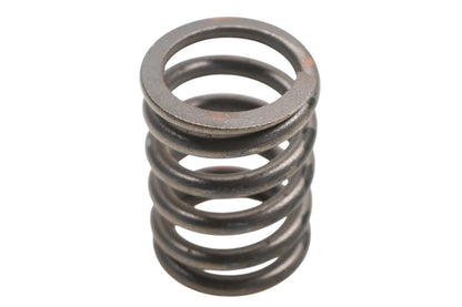 OEM Engine Valve Spring for Ford (C5TZ-6513-A)