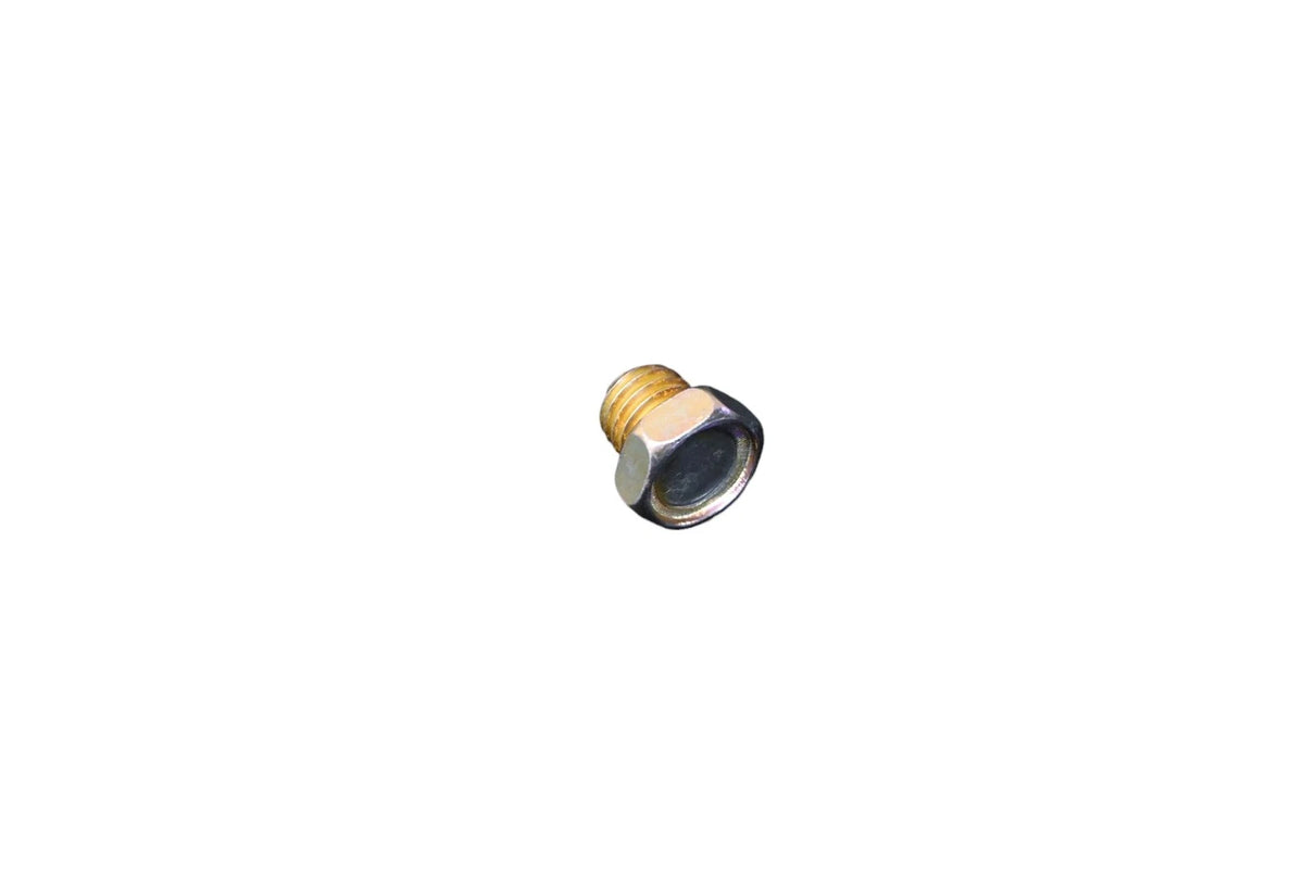 Adjusting Lever Screw for Ford (E8BZ-7032-A)