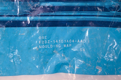 Outer Moulding Kit for Ford (F2DZ-54101A04-AAC)