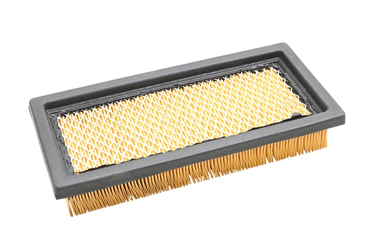 Hastings AF870 Air Filter for