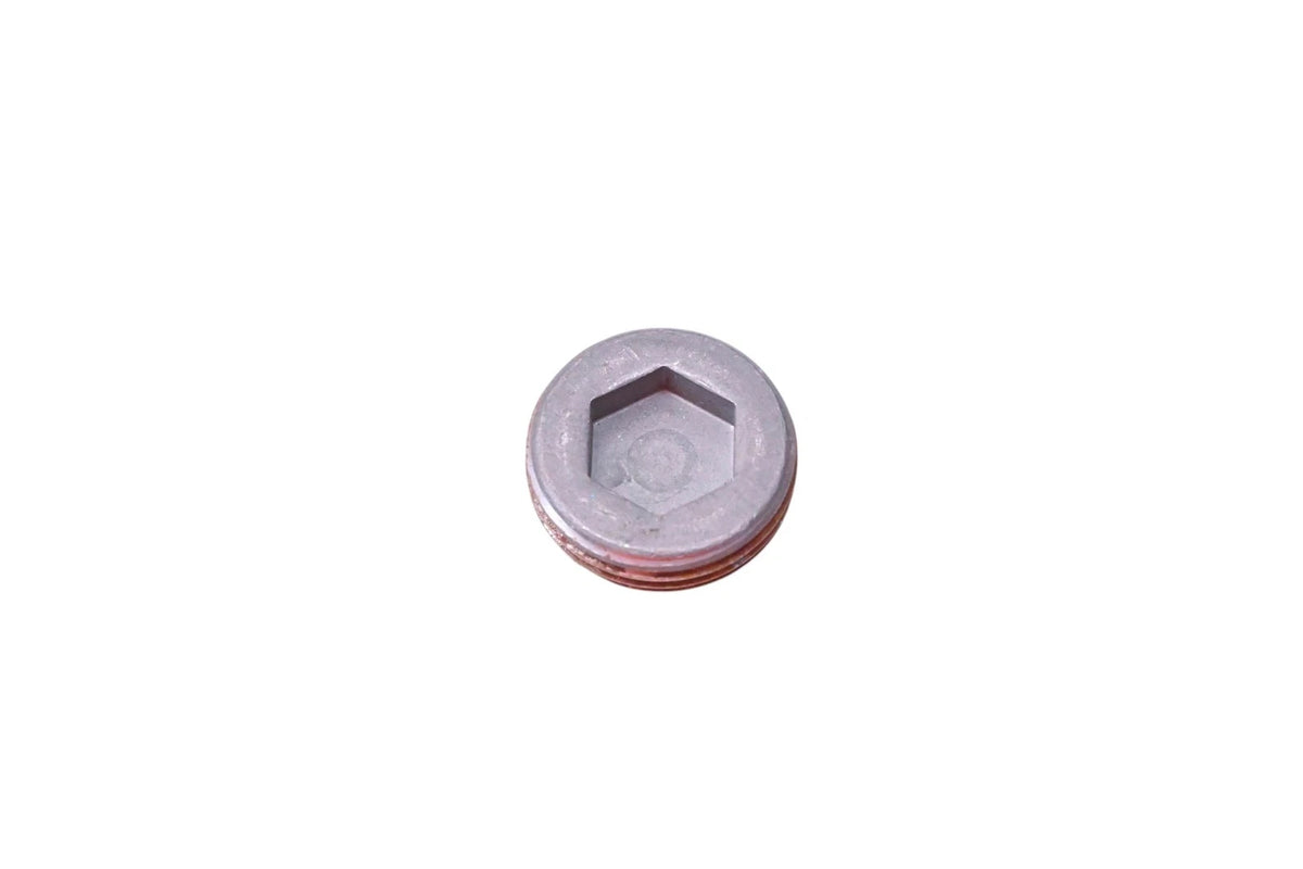 OEM Engine Plug for Ford (F3XY-6026-E)