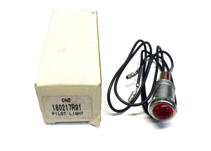 Pilot Light Assembly for International (180217R91)
