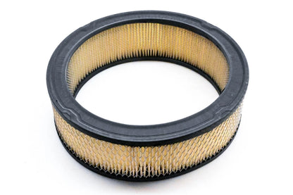Hastings AF278 Air Filter for