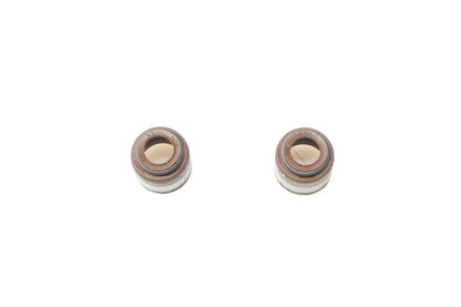 2X Valve Stem Seals for Ford (E9SZ-6571-B)