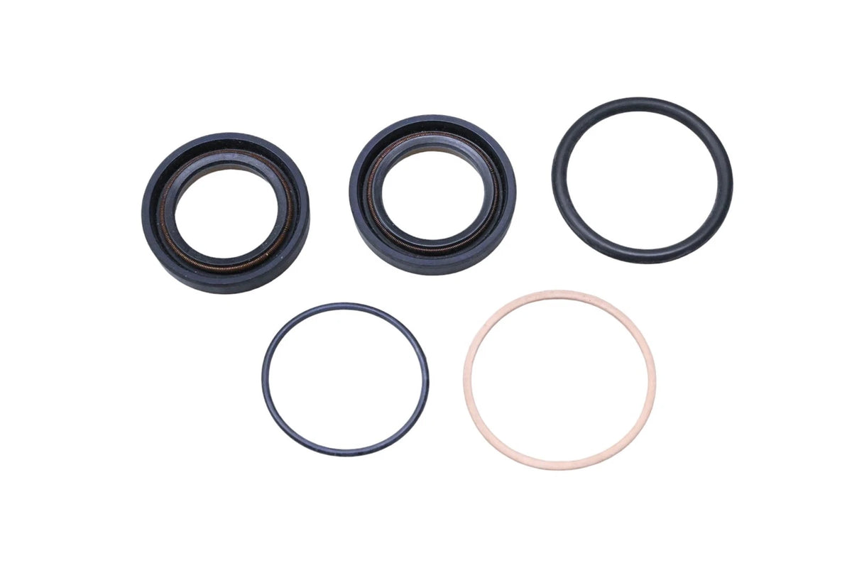 Power Steering Seal Kit D4ZZ-3E501-A for Ford