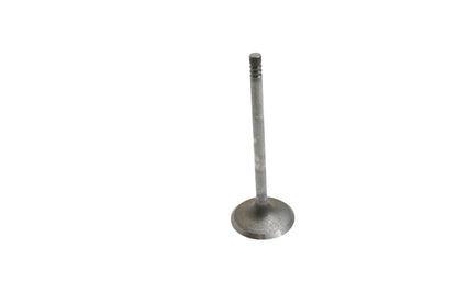 Engine Intake Valve for Ford (YF1Z-6507-BA)