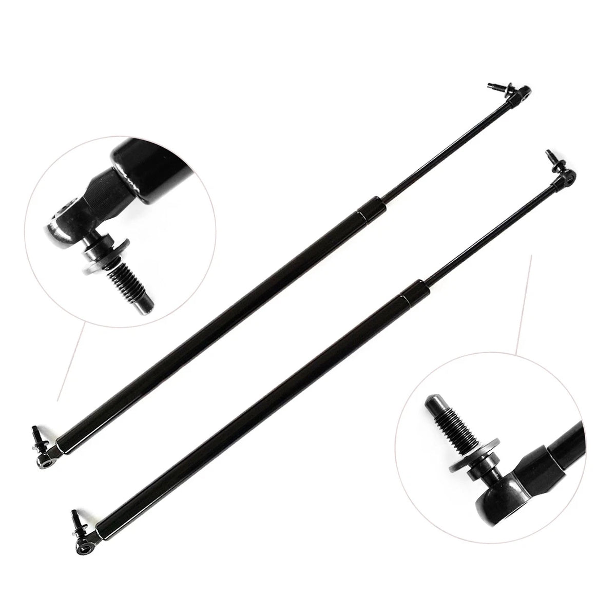 2X Liftgate Lift Support for Chrysler Town & Country Dodge Caravan (819-4190)