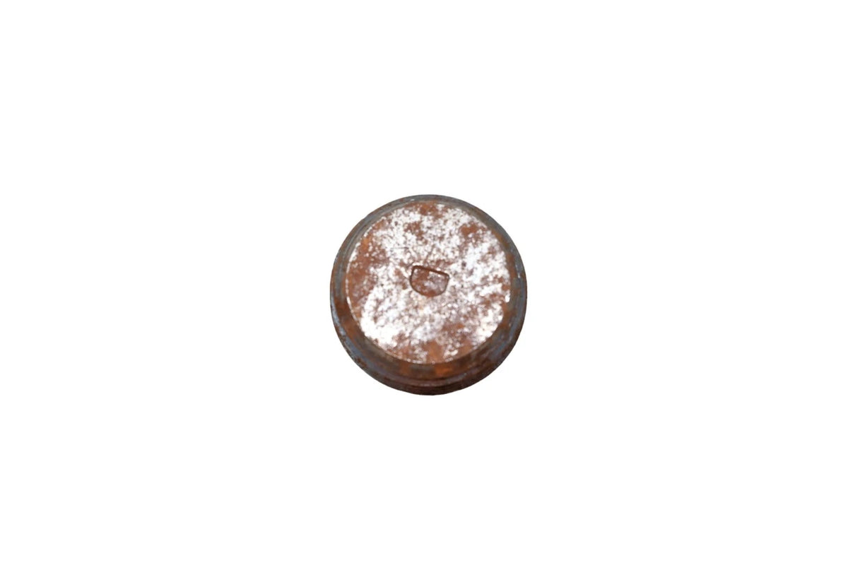 Engine Expansion Plug for Ford F2ZZ-6026-A (NOS)