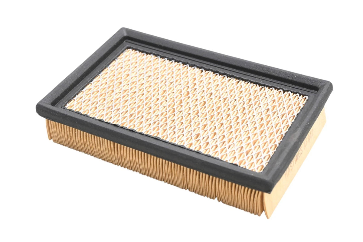 Hastings AF842 Air Filter for