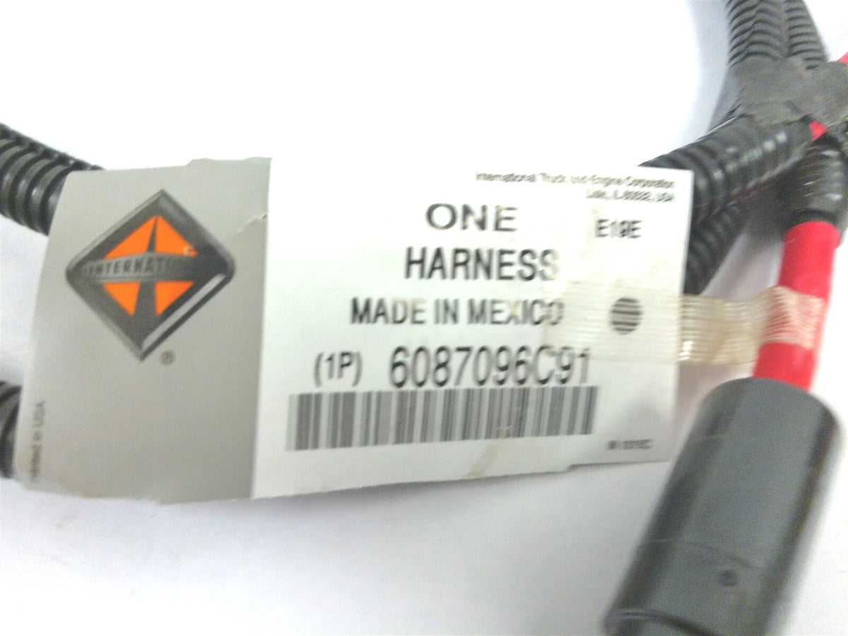 Single Remote Power Module Wire Harness for International