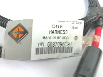 Single Remote Power Module Wire Harness for International