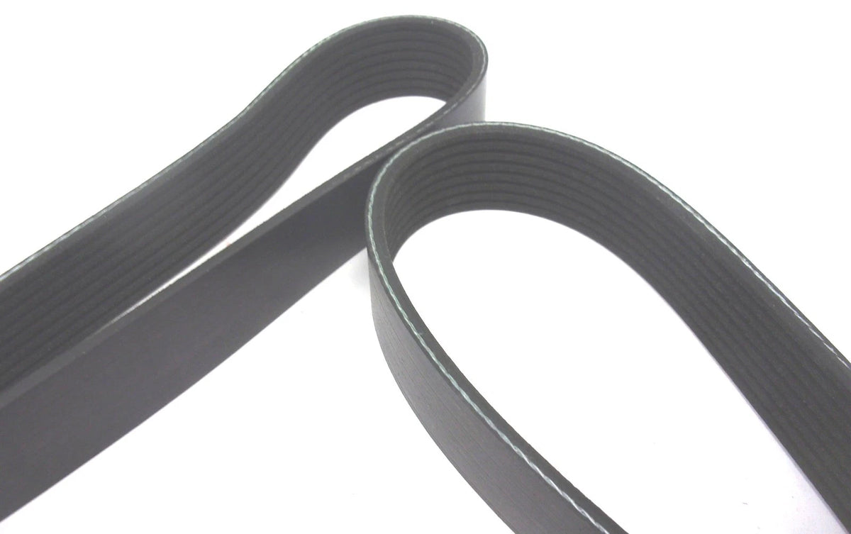 Primary Drive Alternator Belt for International Fleetrite (4087125C1)