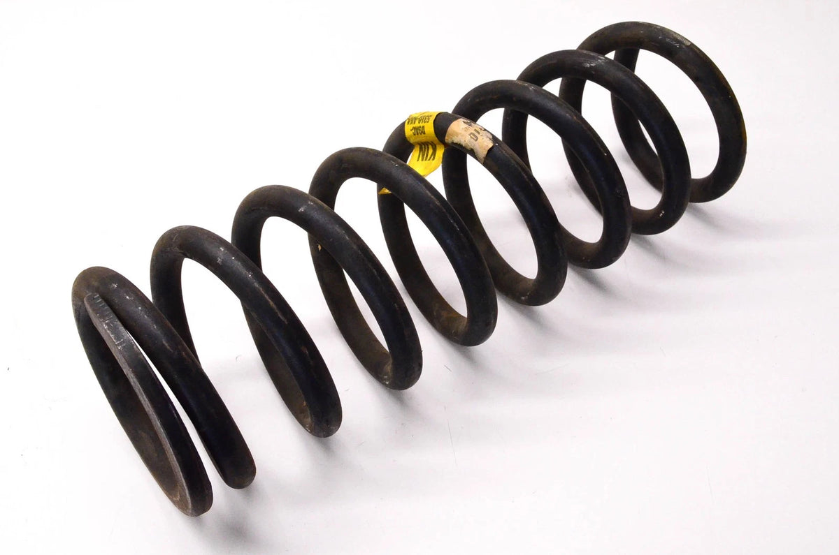 OEM Coil Spring for Ford (D9AC-5310-AKA)