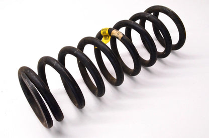 OEM Coil Spring for Ford (D9AC-5310-AKA)