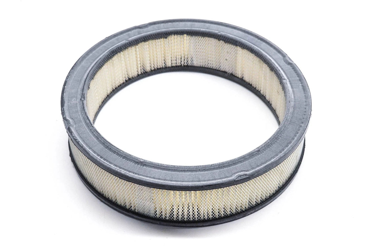 Hastings AF276 Air Filter for