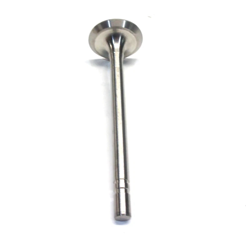 Intake Valve for International (151443R4)